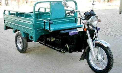 生命奇迹与爱的坚守 植物人母亲诞下健康婴儿